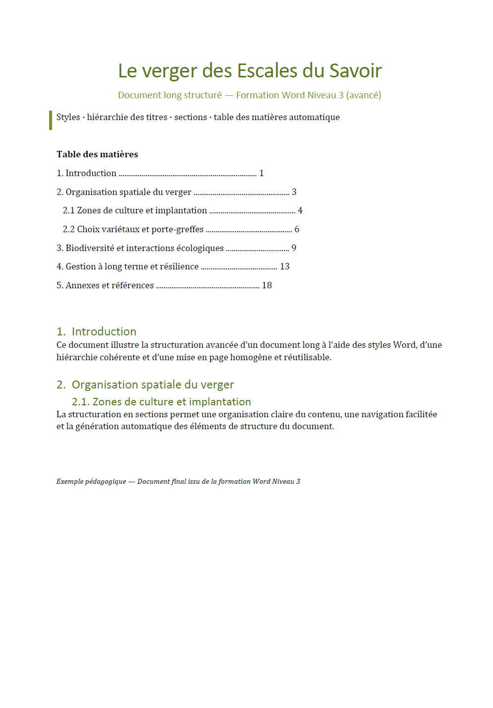 Exemple de document final Word Niveau 3 : document long structuré avec styles, titres hiérarchisés, sections et table des matières automatique