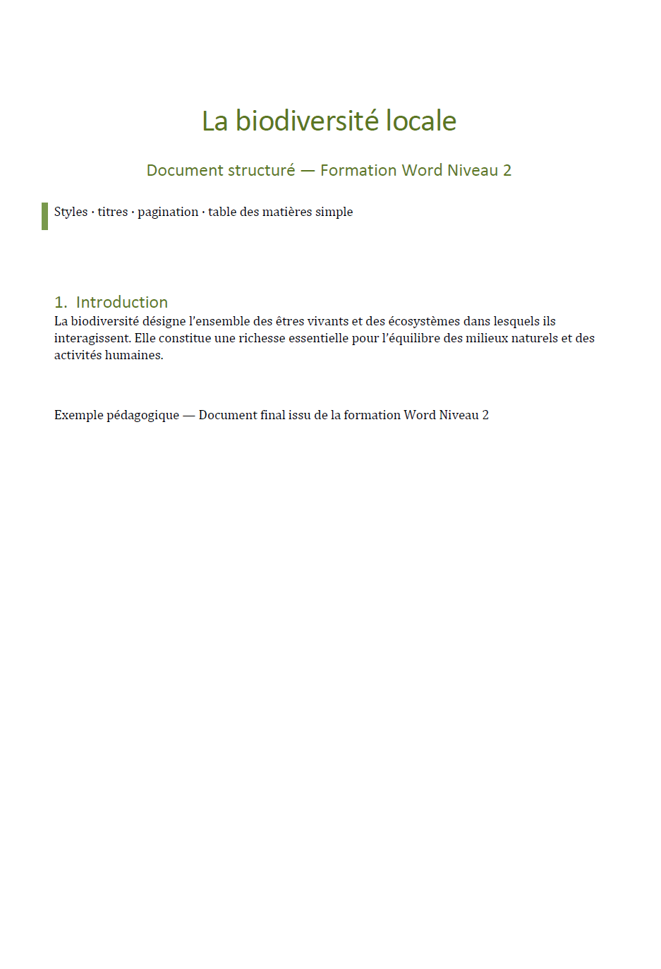 Exemple de document final Word Niveau 2 : document structuré avec styles, titres et table des matières
